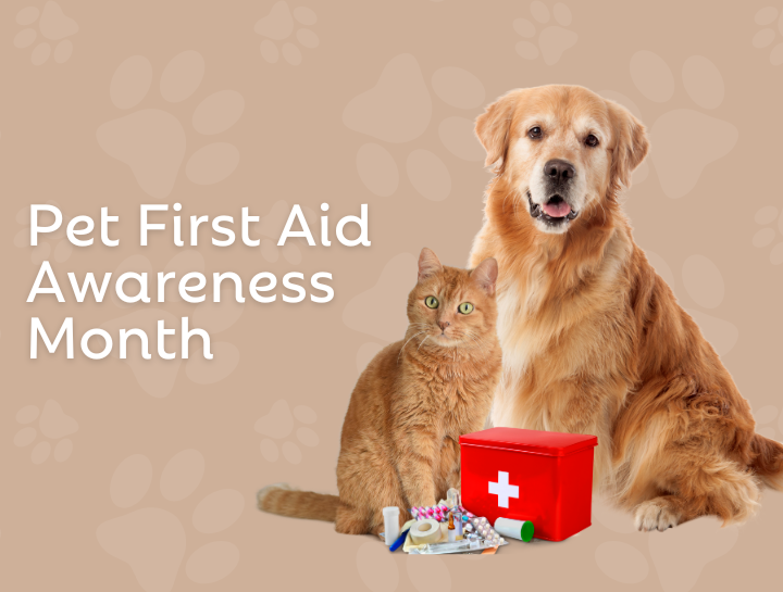 Pet First Aid Awareness